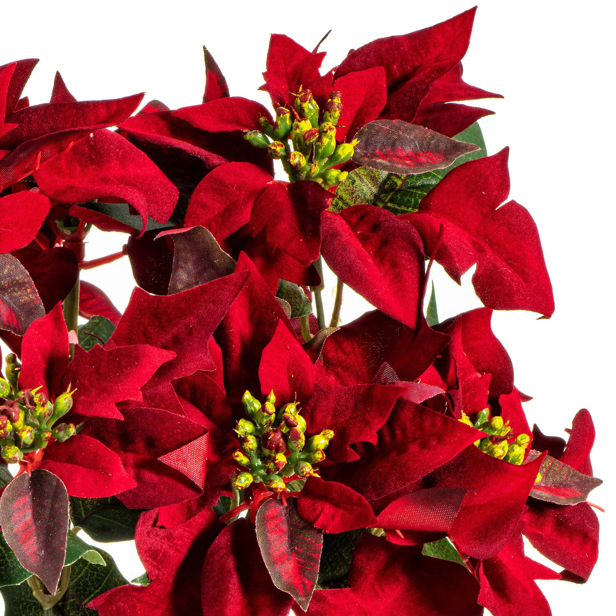 18" Red Poinsettia and Leaf Bush